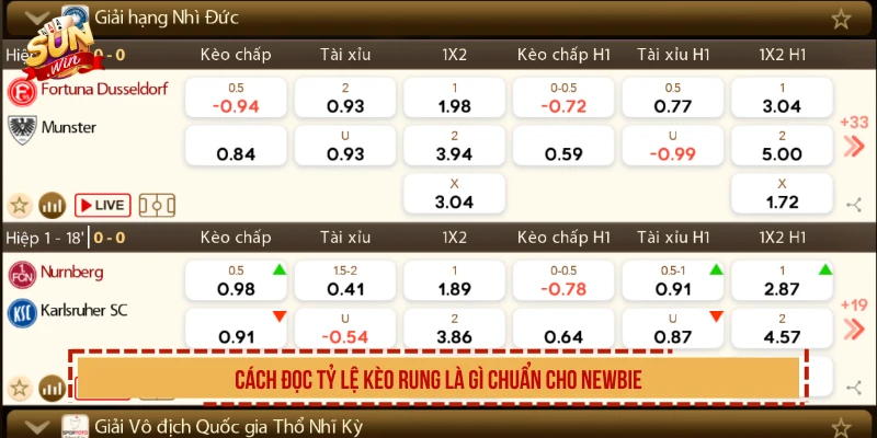 Cách đọc tỷ lệ kèo rung là gì chuẩn cho newbie